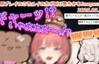 簡単に船長のやる気を引き出す魔法の言葉【ホロライブ切り抜き/大空スバル/宝鐘マリン/ババドナ/Shorts】