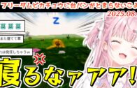 #ホロスマブラ最弱王 全試合ダイジェスト【2025.08.06/ホロライブ切り抜き】